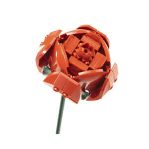 Květinová stavebnice - Růže NICE SRL