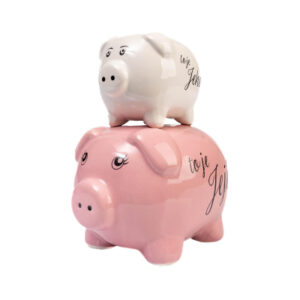 Svatební pokladnička - Jeho a Její Albi