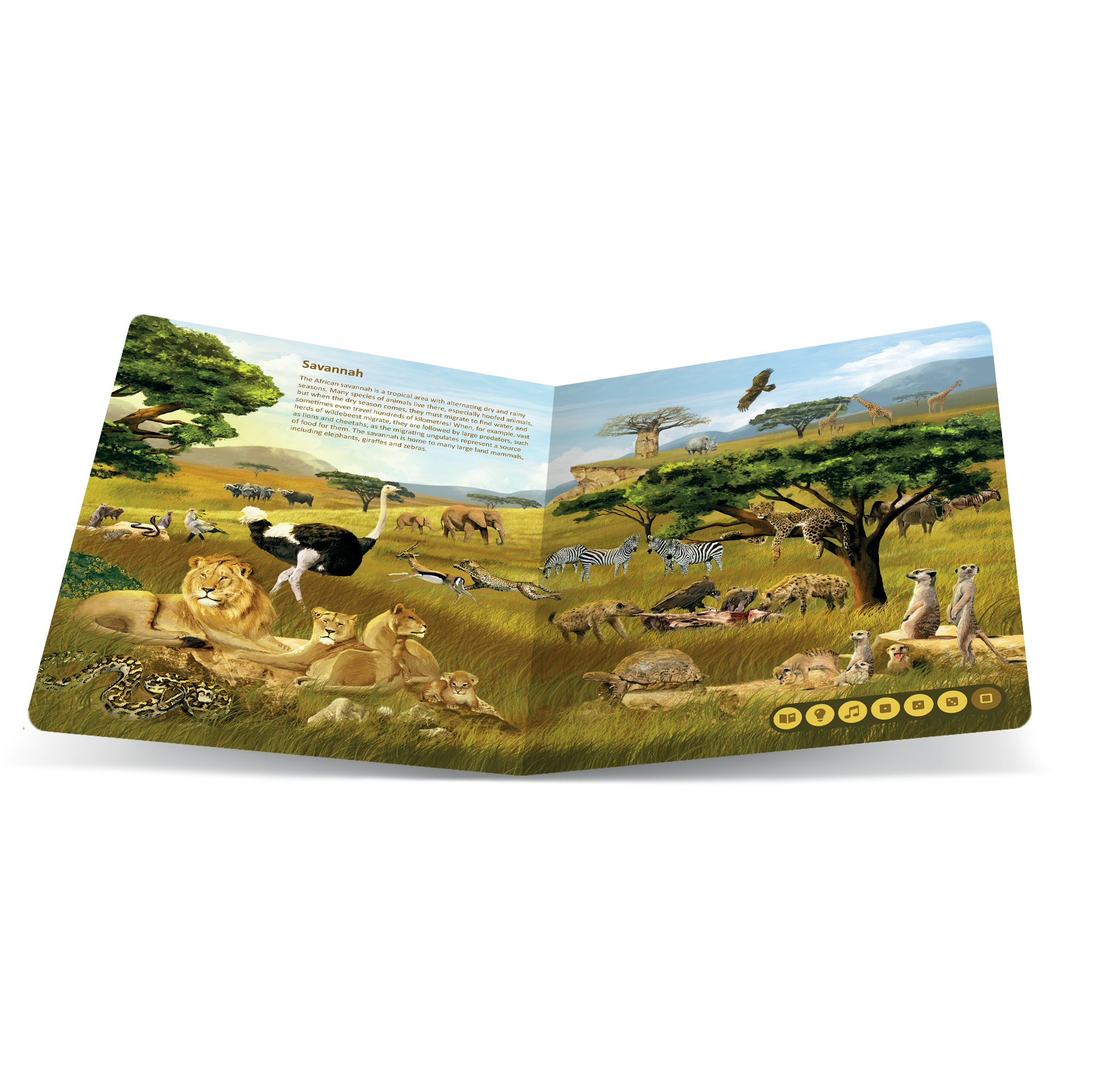 Tolki - Animal Kingdoms EN Albi - Obrázek 3