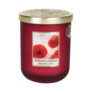 Velká svíčka - Rozkvetlá louka Albi