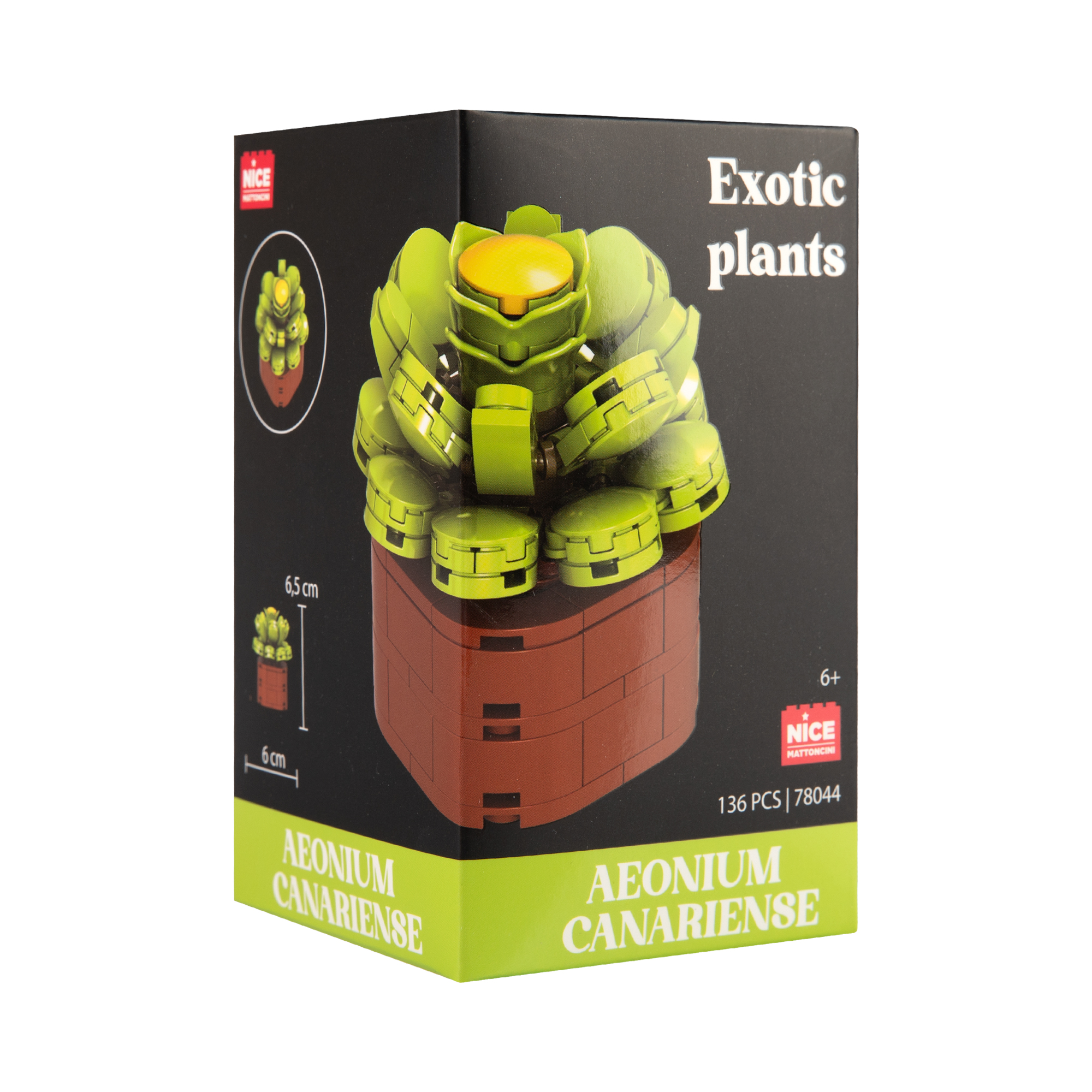 Květinová stavebnice Exotic - Eonium kanárské NICE SRL - Obrázek 2