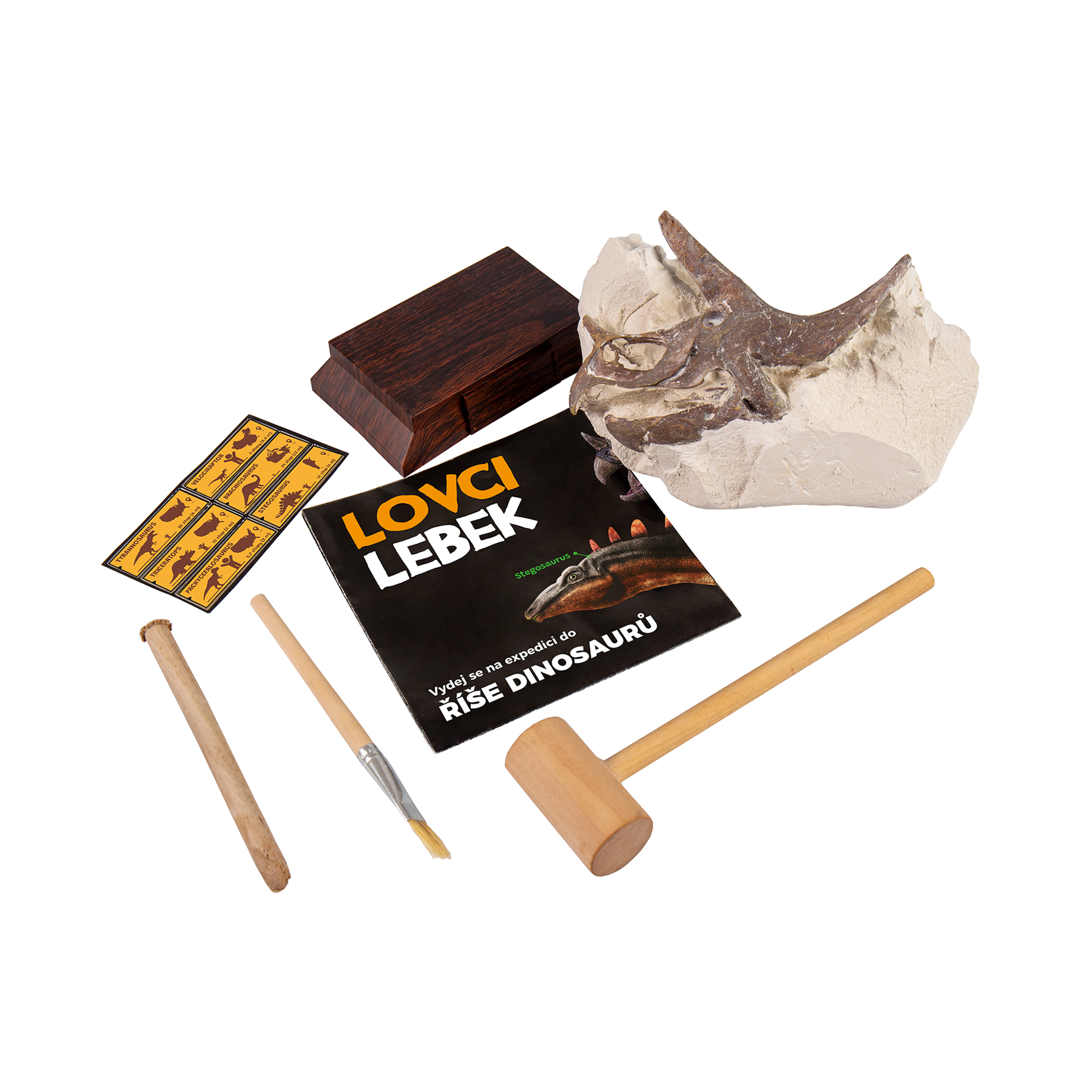 Lovci lebek - Pachycephalosaurus Albi - Obrázek 3