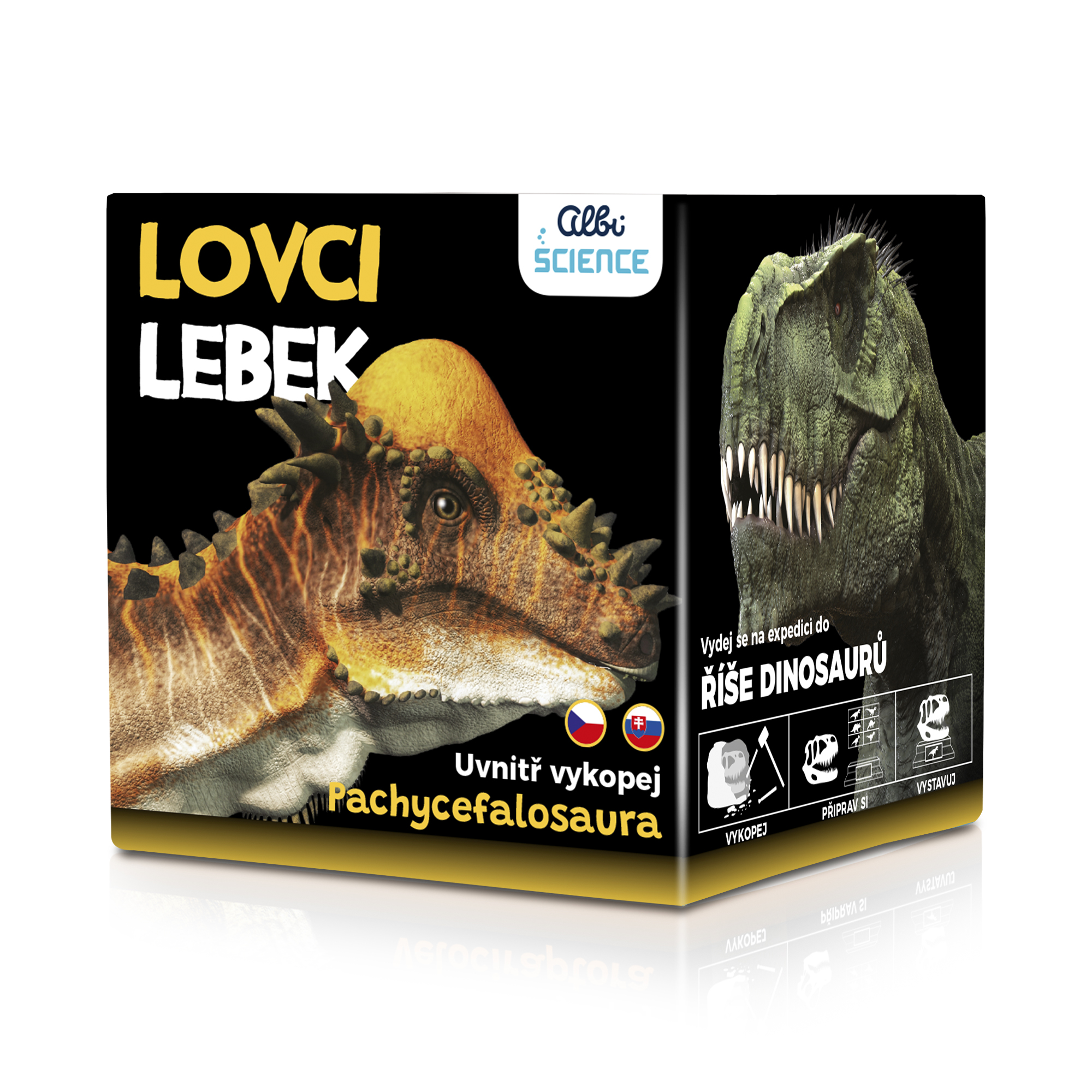 Lovci lebek - Pachycephalosaurus Albi