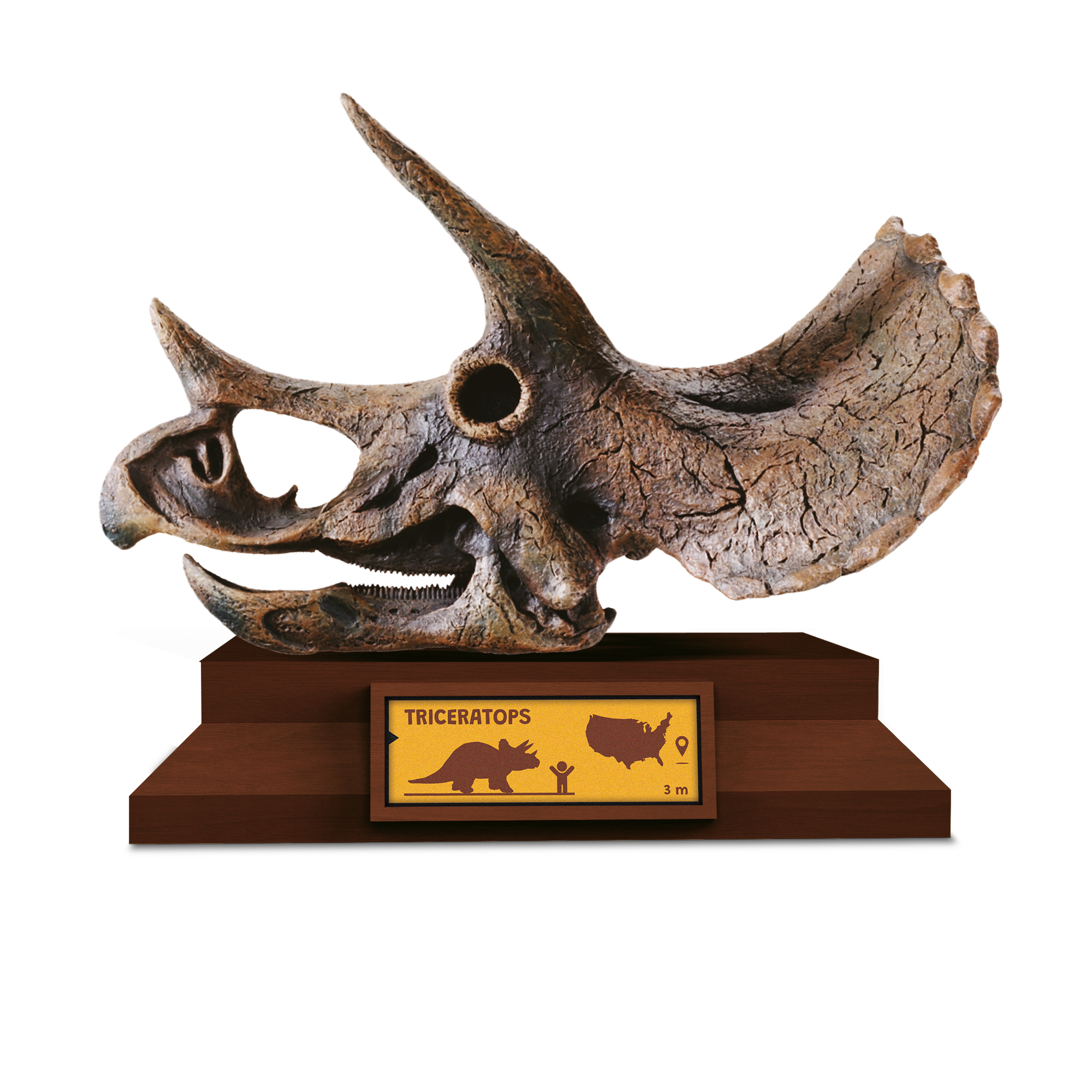 Lovci lebek - Triceratops Albi - Obrázek 2