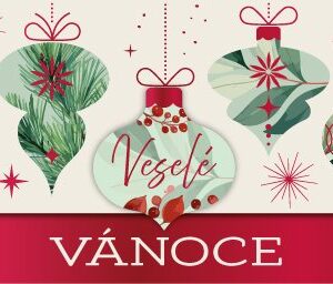 Vánoční magnetická obálka na peníze - Veselé Vánoce Albi
